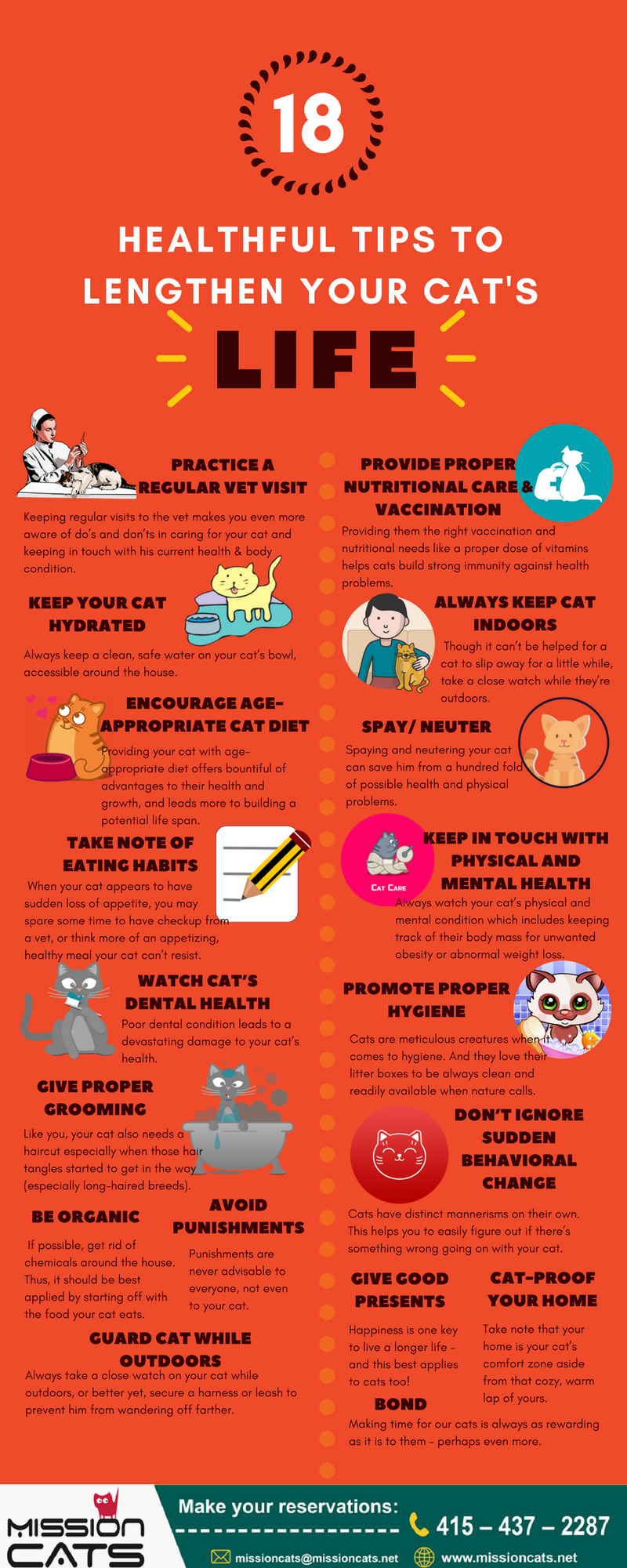 18 Tips To Help Lengthening Your Cat’s Life