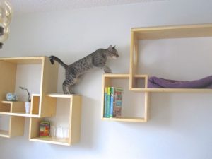 DIY kitty exercise tower using a bookshelf