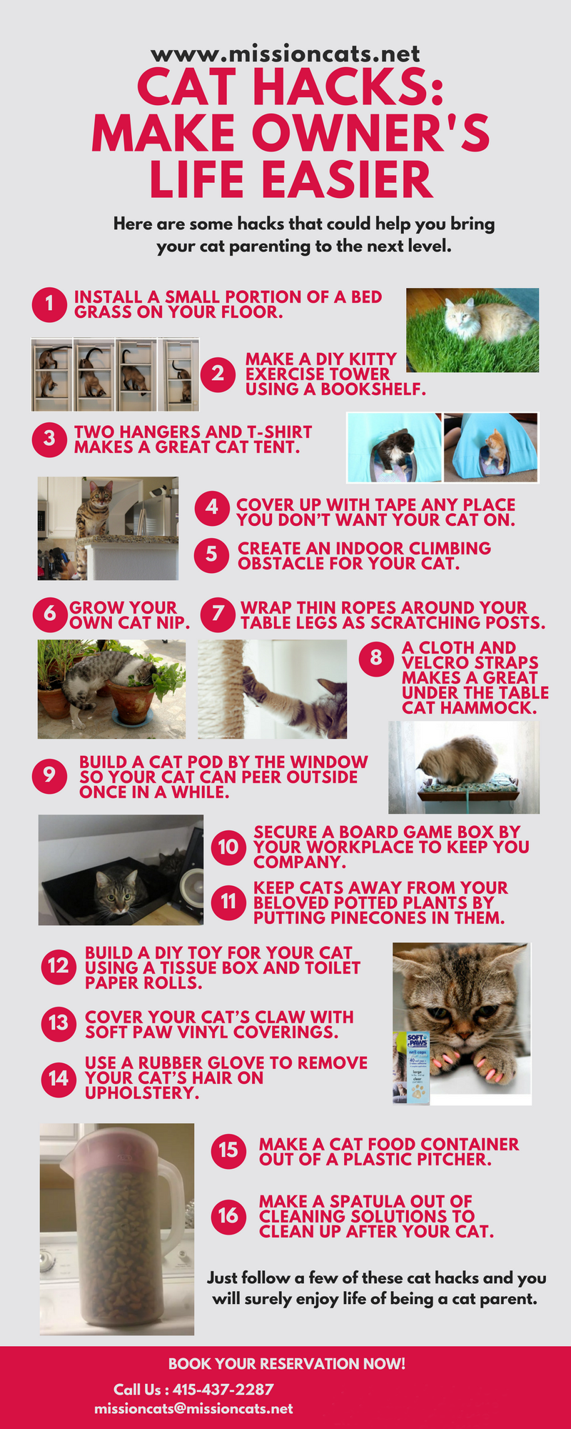 cat hacks make your life easier