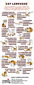 Types of Cat Languages