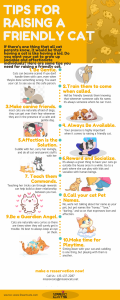 Tips Raising Friendly Cat