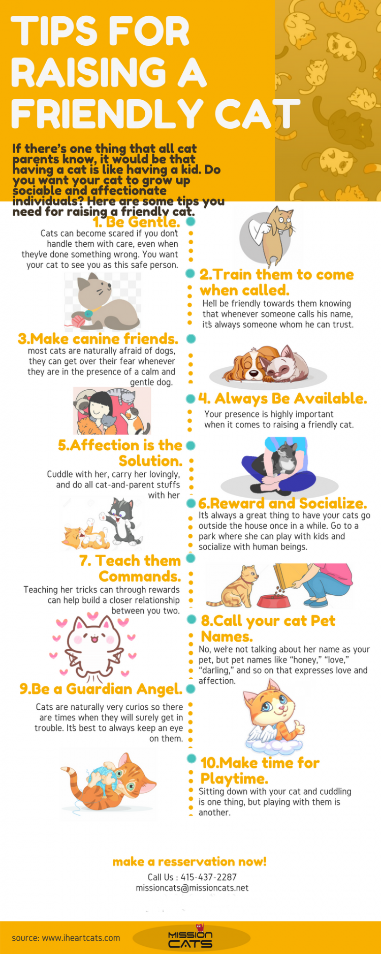 Tips Raising Friendly Cat
