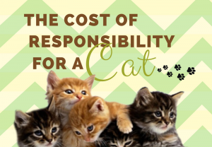 cost responsibility for a cat