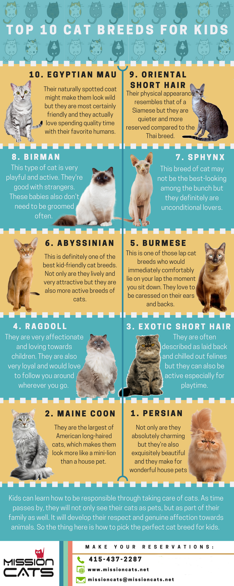 top 10 cat breeds best for kıds
