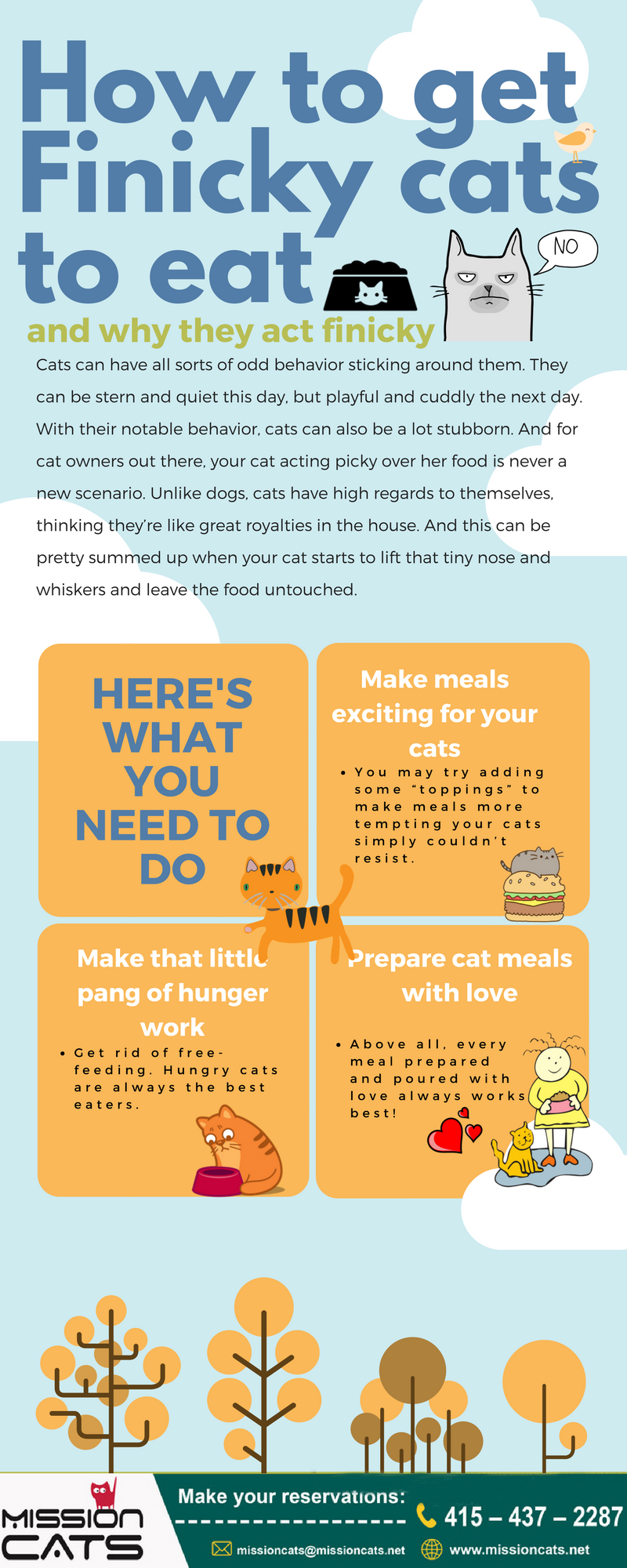 how get finicky cats to eat
